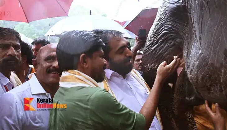 Elephant Feeding Ceremony at Vadakkunnathan Temple at the Dawn of Karkidakam898