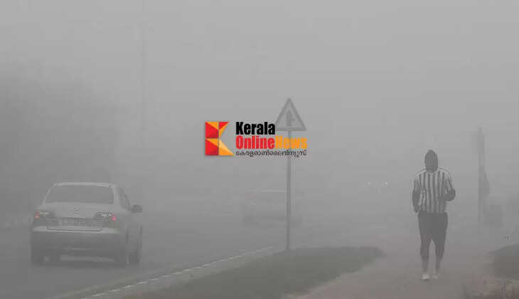 uae heavy fog