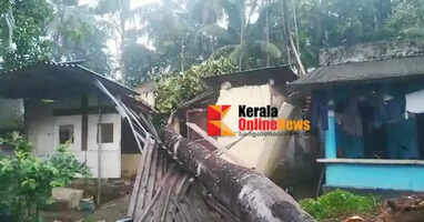 തിരുവല്ലയിലെ നെടുമ്പ്രത്ത് ശക്തമായ കാറ്റിൽ മരം കടപുഴകി വീണ് വീട് പൂർണമായും തകർന്നു