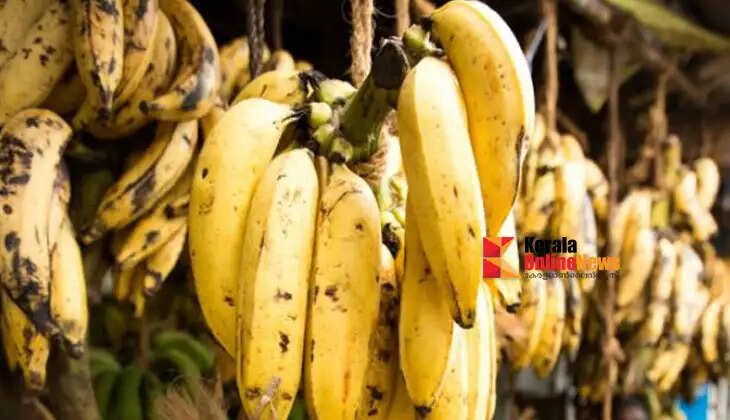 Banana price hike brings relief to farmers