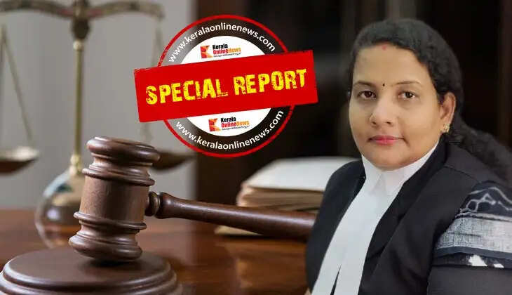 Adv vimala Binu, lawyers, judgments chamber arrangements