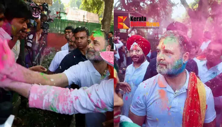 delhiholi
