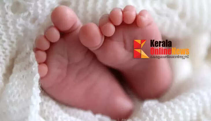 small guest comes to Kozhikode s mother s cradle