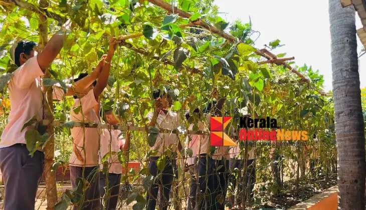 Children at Kodakkad school grow vegetables for lunch, next step is rice for rice