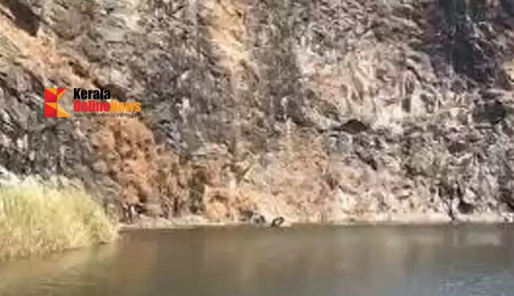 Woman found dead in Palakkad granite quarry