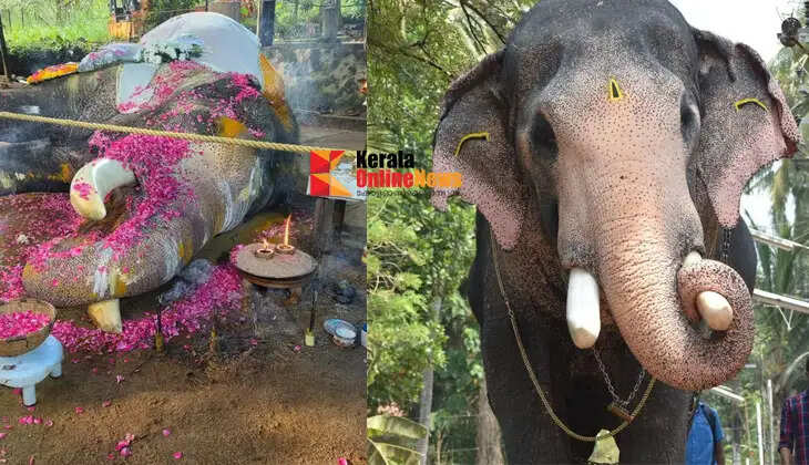 Farewell to Pallattu Brahmadathan; thousands pay their final respects.