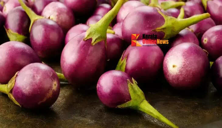 brinjal