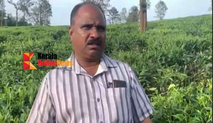 Unbreakable Love  Unni mash is a treat for the children of Vellarmala wayanad