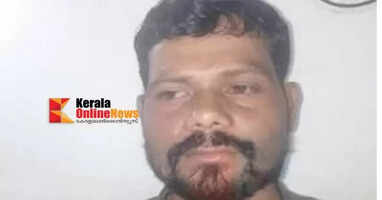 Interstate worker arrested with dried cannabis in Bavuparampil