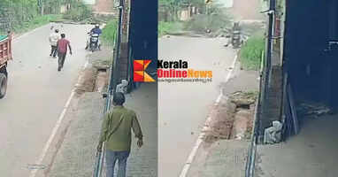 Biker seriously injured in a coconut tree fall on Pinarayi-Parapram road