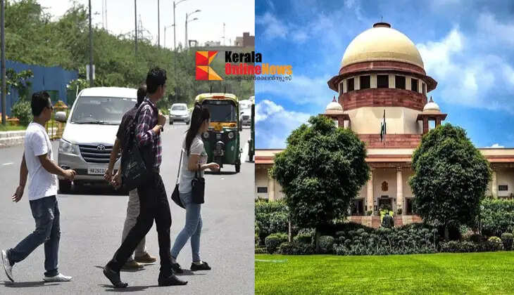 supreme court of india  Pedestrians