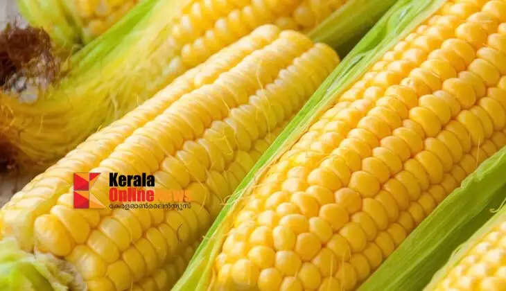 Corn