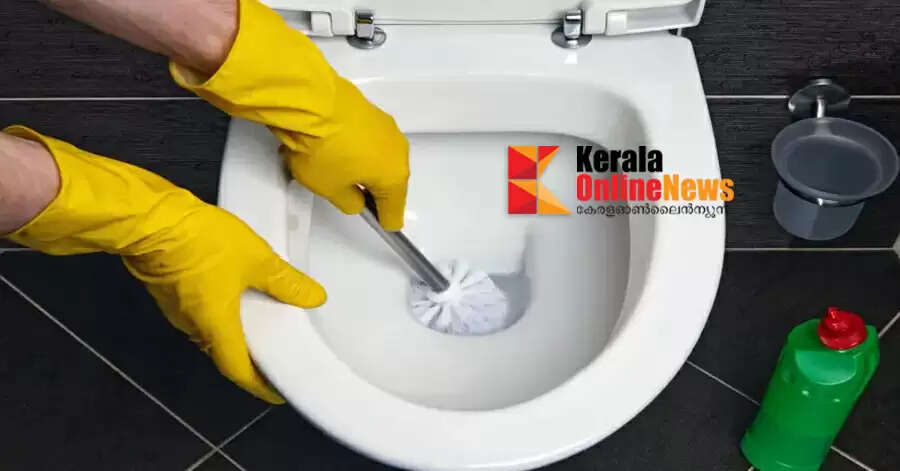 toilet cleaning