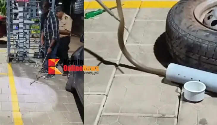 Mark activists caught a cobra that had climbed into a car parked on the side of the road in Lower Marsa