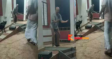 Artist injured in street play against stray dogs in Mayyil, Kannur
