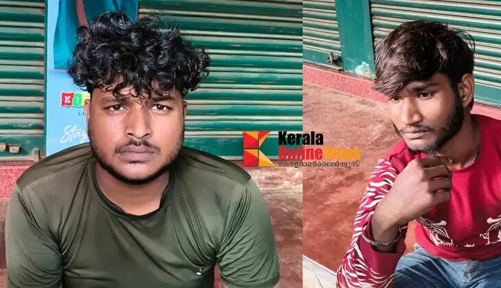 Two migrant workers remanded in Kannur for attempting to steal and transport KSEB cables and wires.