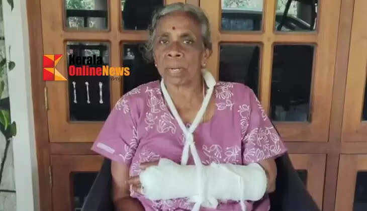 Private bus overspeeds in Pathanamthitta: Elderly woman falls and breaks arm, dropped off near hospital