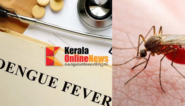 Increase in the number of dengue fever cases; 146 people were diagnosed with the disease yesterday alone
