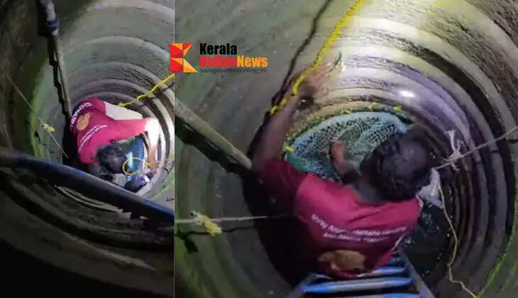 Cat falls into well while running to escape dog; Rescue team and locals save cat