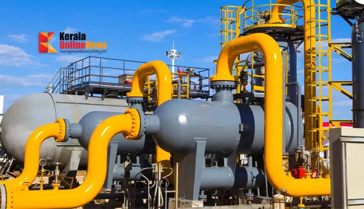 West Asian conflict; Central government waives customs duty on petrochemical products