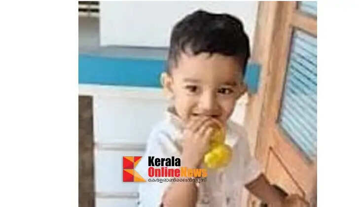 A two-year-old boy, who was undergoing treatment after being hit by a lorry in Pilathara, has died.