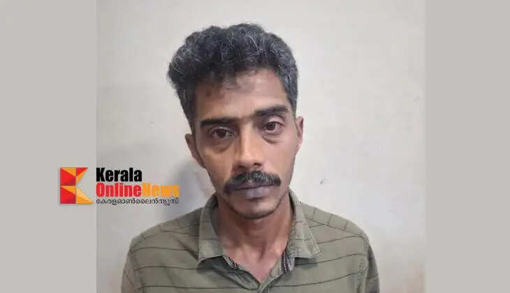 Elderly woman attacked and necklace stolen in Palakkad; accused arrested.
