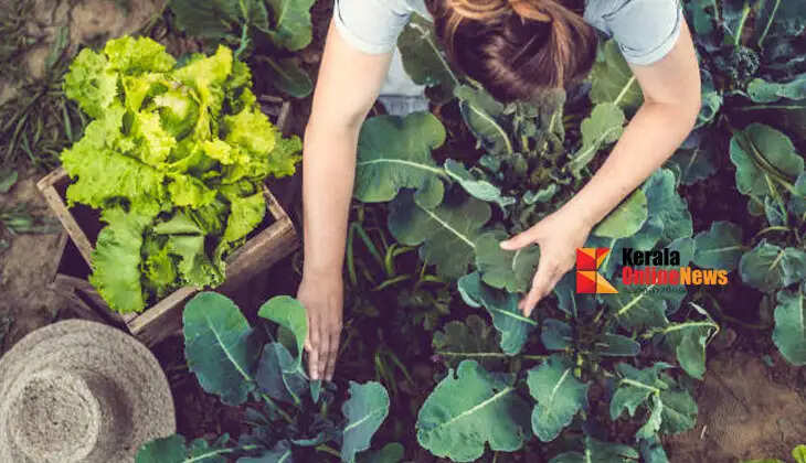 Native hands for farming