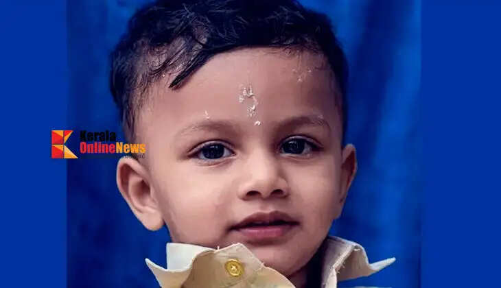 A one-and-a-half-year-old boy died after being hit by a train; he had crawled onto the tracks while playing in the courtyard.