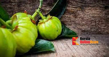  Garcinia cambogia
