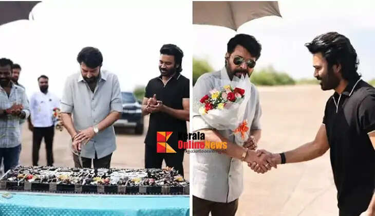 mammootty