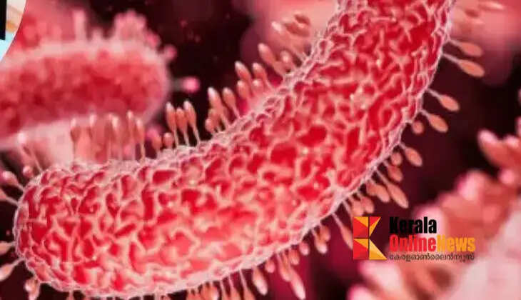 shigella