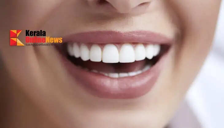 teeth