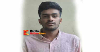 Wayanad Cyber ​​Police arrest man who swindled money by promising to provide loan online