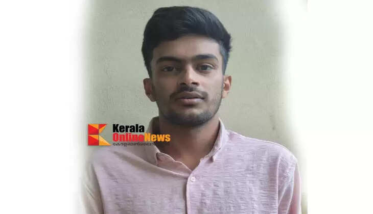 Wayanad Cyber ​​Police arrest man who swindled money by promising to provide loan online