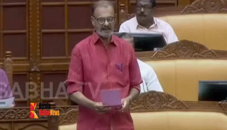 mla