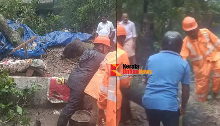 A young man died tragically after a tree fell on his house in Thrissur.