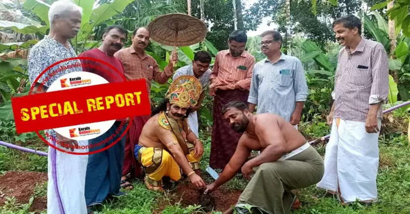 What if you go? The farmer planted a banana tree with Maveli, who came home on the day of Thiruvonas.
