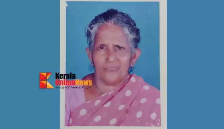 Middle-aged woman reported missing in Kannur