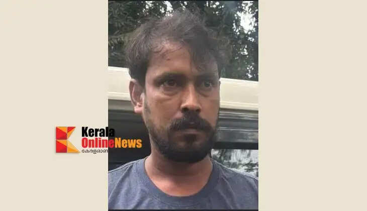Attempted assault on housewife: Thiruvegappura native arrested.