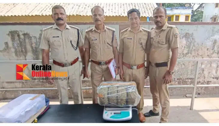 Cannabis seized from Thrissur railway station