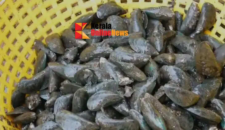 Kallummakaya's 'Mangalassery Peruma'; A group of youth with a success story