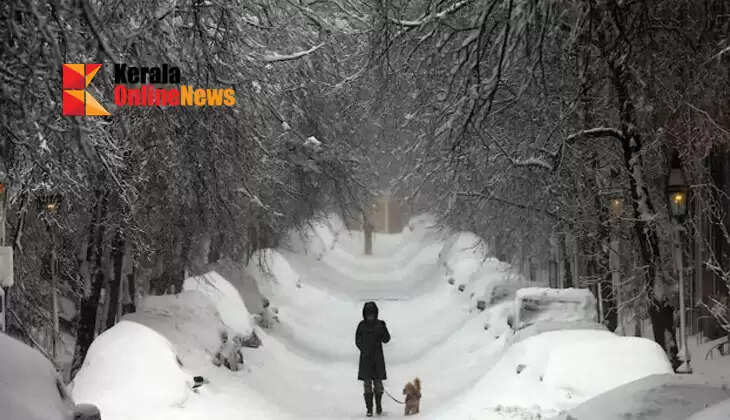 Severe storms and snowfall; America in grip of extreme cold, climate emergency declared