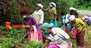 Employment Guarantee Scheme: Thirunelli and Mananthavady ranked first in Wayanad district