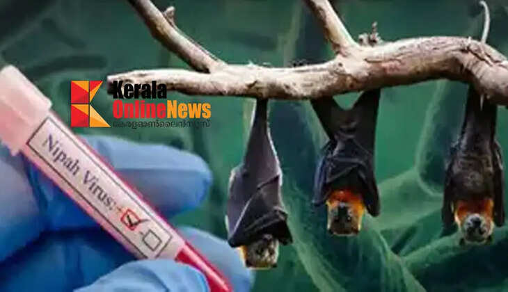 Nipah virus 