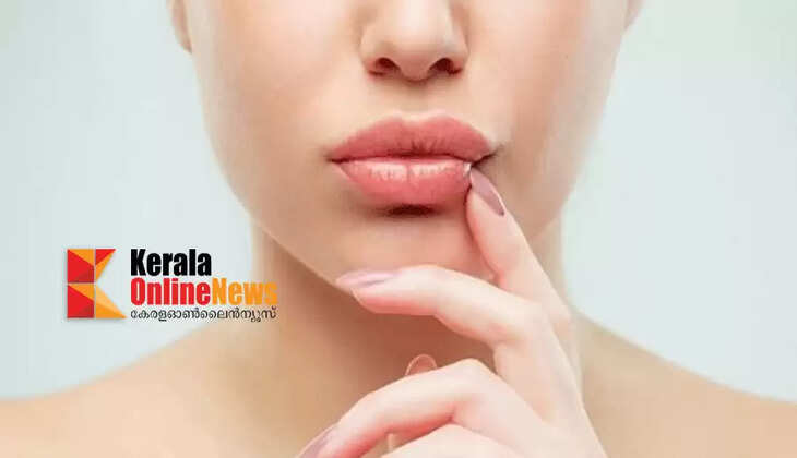 lip2