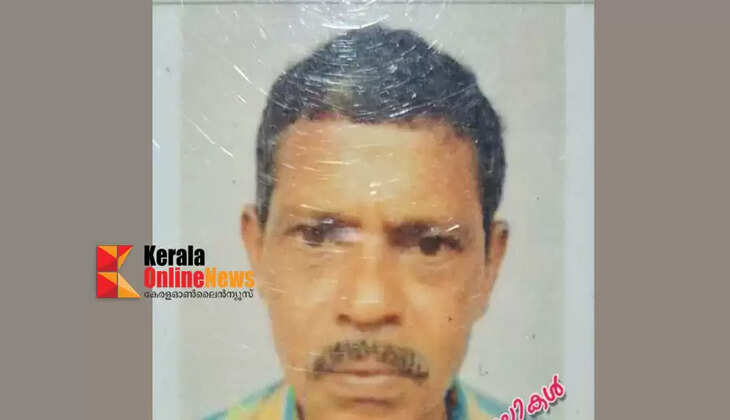 Former CPM branch secretary, coconut climbing worker dies after being stung by a wasp