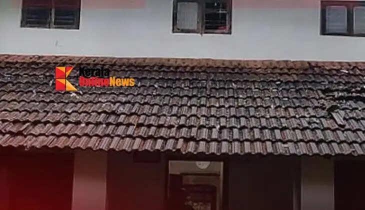 A house was destroyed in Pattannur after a coconut tree toppled over.