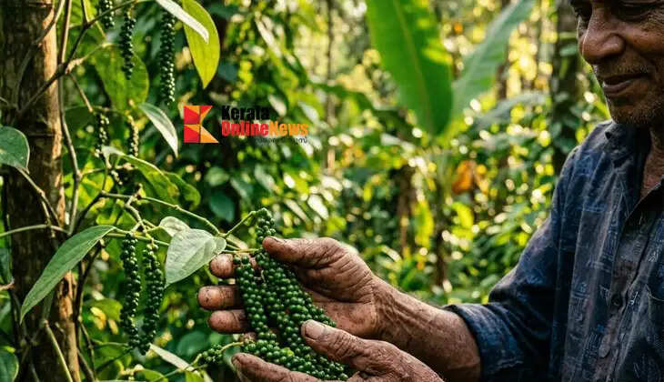 Will assistance be provided in the event of crop loss? Registration details that farmers need to know