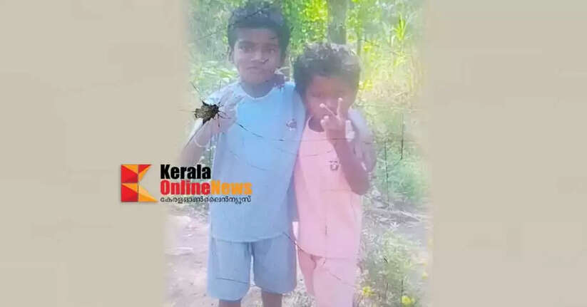 Siblings die in house collapse in Attappadi Palakkad