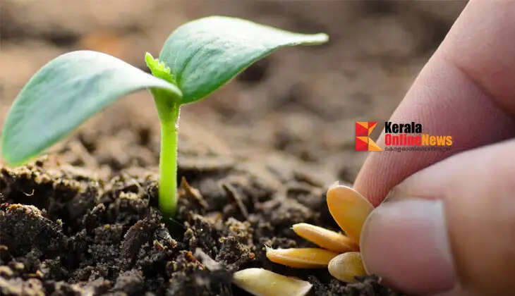 Do you pay attention to these things when germinating seeds?